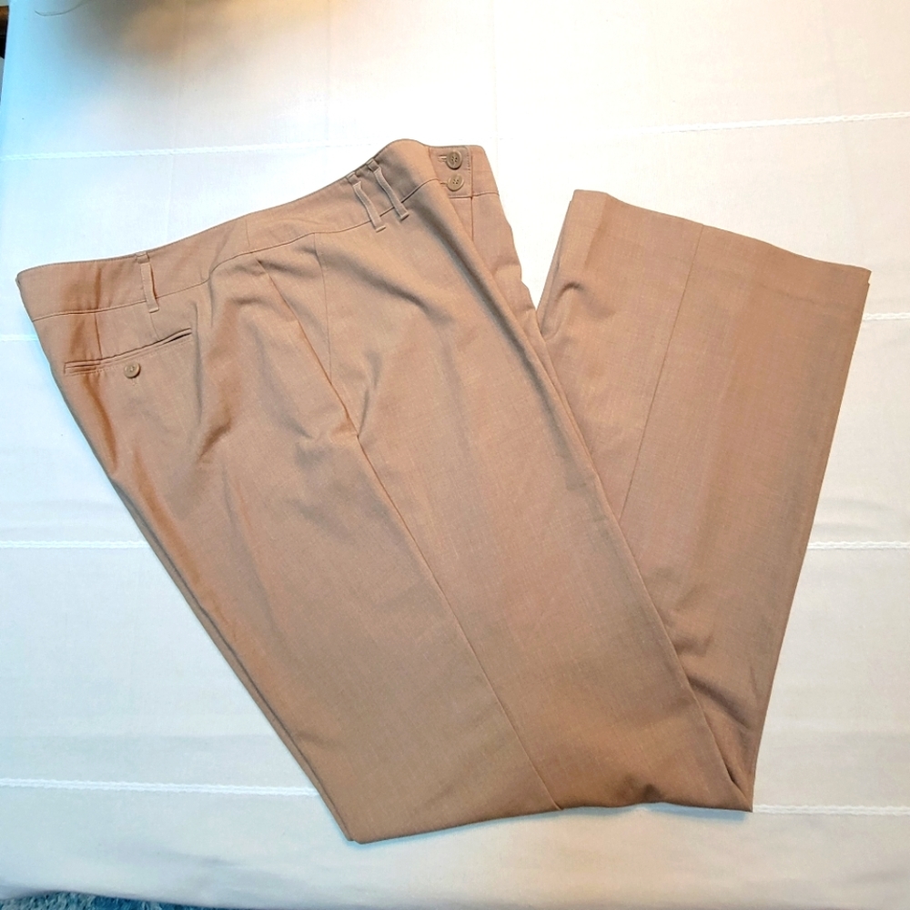 Size 18 Lane Bryant Pants